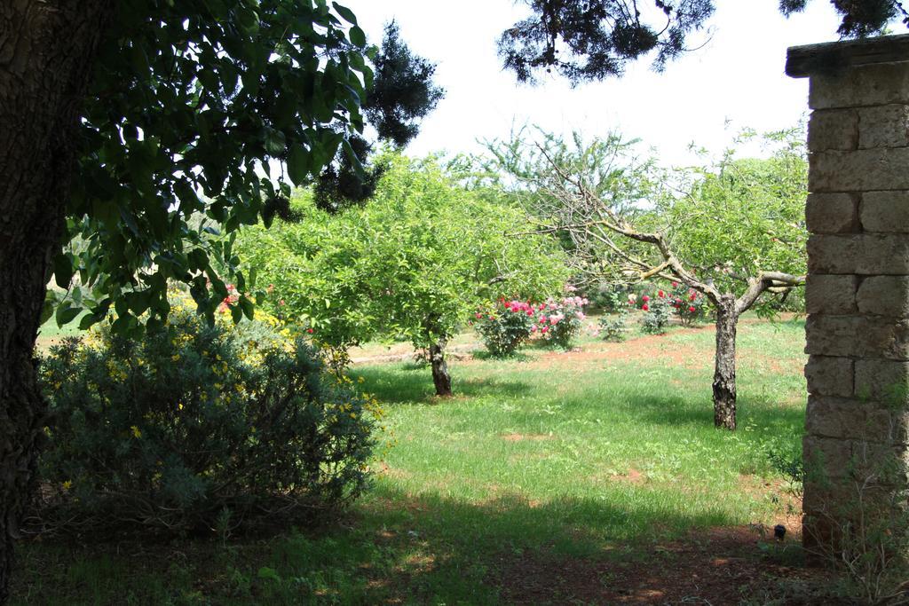 אוג'נטו Masseria Cristo מראה חיצוני תמונה